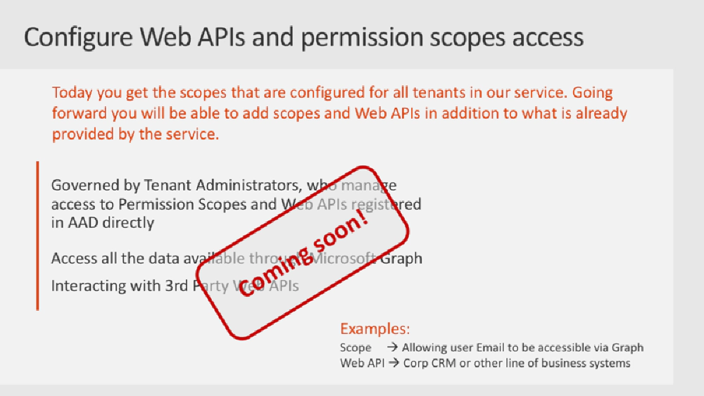 Slide: Configure Web APIs & permission scopes access